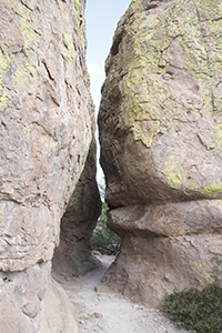 the trail